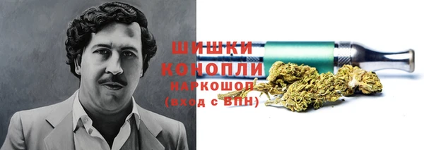 PSILOCYBIN Ельня
