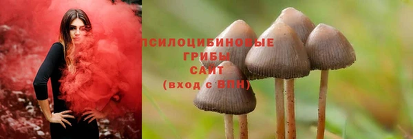 apvp Беломорск