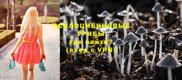 не бодяженный Белокуриха